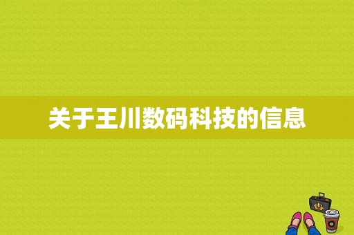 关于王川数码科技的信息