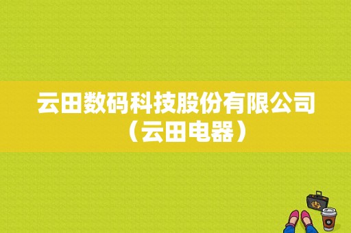 云田数码科技股份有限公司（云田电器）