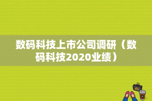 数码科技上市公司调研（数码科技2020业绩）