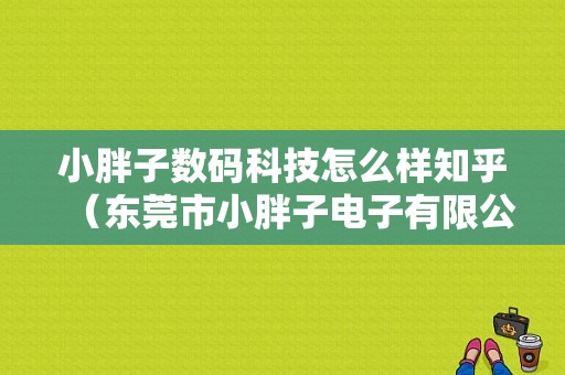 小胖子数码科技怎么样知乎（东莞市小胖子电子有限公司）