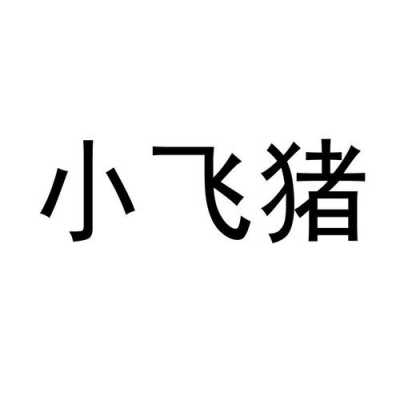 小飞猪数码科技怎么样啊（小飞优选数码手机怎么样）