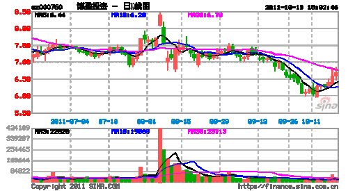 元博数码科技股票代码是多少（元博数码科技股票代码是多少号）-图2