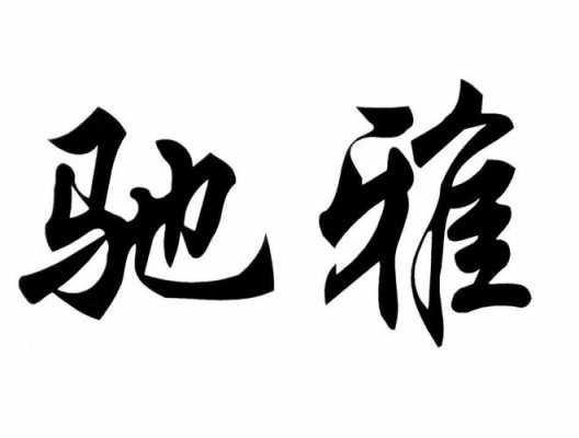 驰雅数码科技招聘（驰雅数码科技招聘信息）