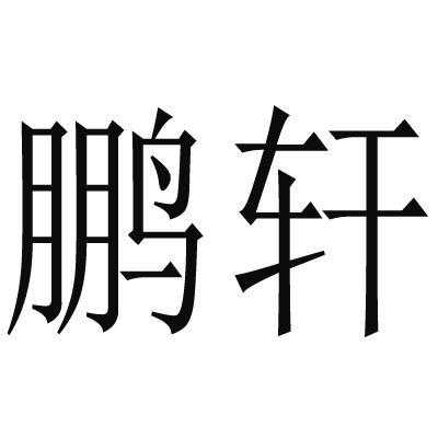 鹏轩数码科技有限公司招聘（鹏轩置业）-图3