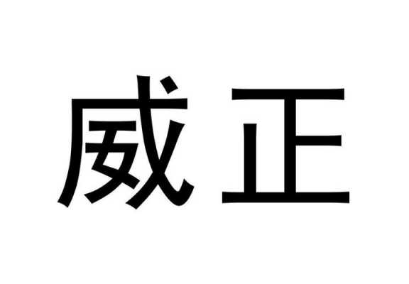 威正数码科技怎么样（威正数码有限责任公司）