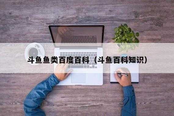 数码科技斗鱼（数码科技百度百科）-图2