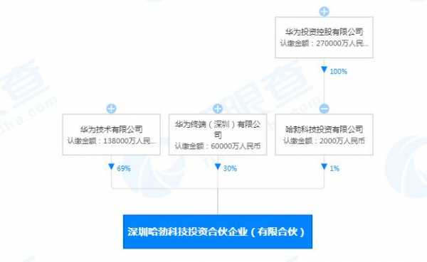 华为入股数码科技公司（华为入股数码科技公司多少股份）-图1