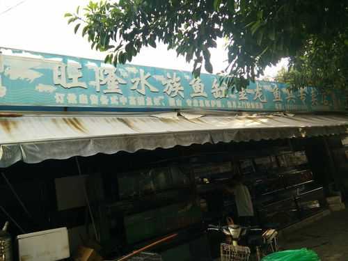 旺隆数码科技店在哪里（旺隆餐饮）