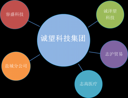 望成数码科技有限公司怎么样（成都望诚医疗科技有限公司）-图2