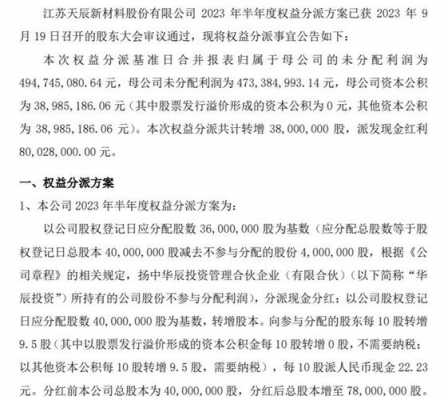 天辰数码科技股票代码查询（天辰信息）-图2