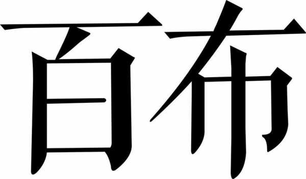 百布数码科技（百布是什么公司）