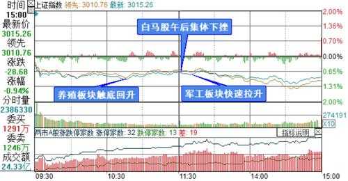 创业板白马数码科技（白马数据）-图1