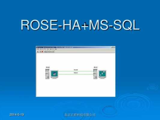 rose数码科技的简单介绍-图3