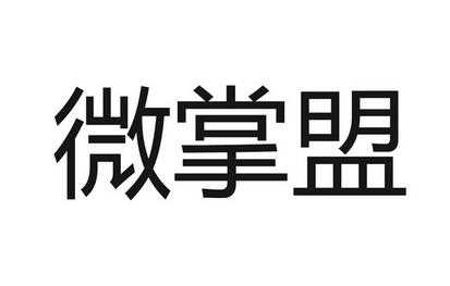 上海掌盟计算机数码科技发展公司（掌盟软件股份有限公司）-图2