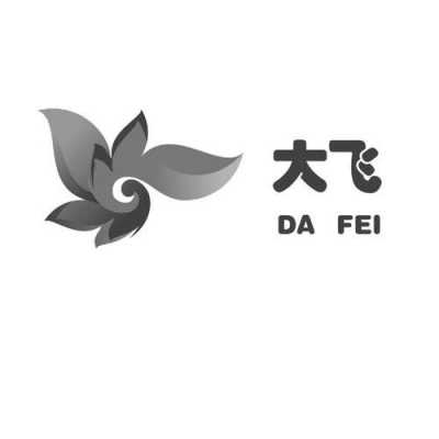 大飞通讯数码科技招聘（大飞信息怎么样）