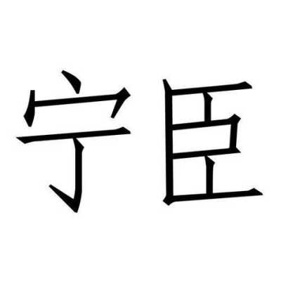 关于宁臣数码科技的信息