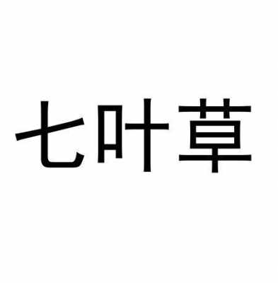 七叶数码科技（七叶云科技）-图3