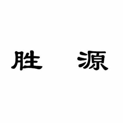 胜源数码科技有限公司（胜源实业有限公司）-图3