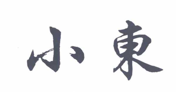 小东数码科技招聘信息最新（小东科技有限公司）