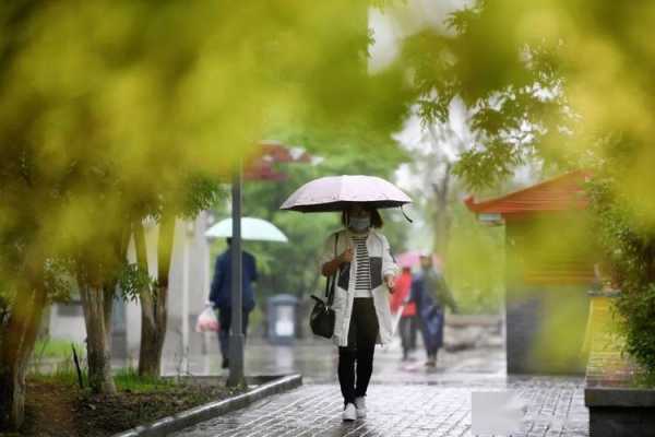 雨里数码科技有限公司（pia雨里）