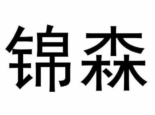 锦森数码科技（锦森数码科技怎么样）-图1