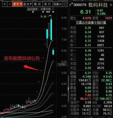 数码科技解禁股让原始股价（数码科技股票是干什么的）-图3