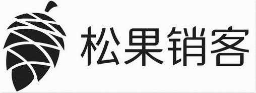 松果数码科技泰安市泰山区工作室（淄博松果信息技术有限公司）-图3