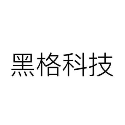 深圳黑格数码科技有限公司（黑格科技是什么公司）-图2