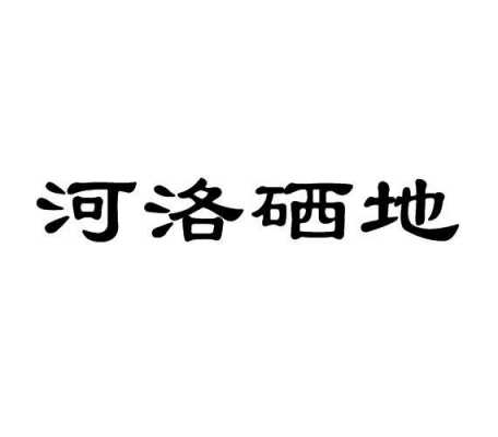 河络数码科技公司（深圳市河洛科技有限公司）