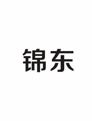 锦东数码科技（锦东实业有限公司）-图2