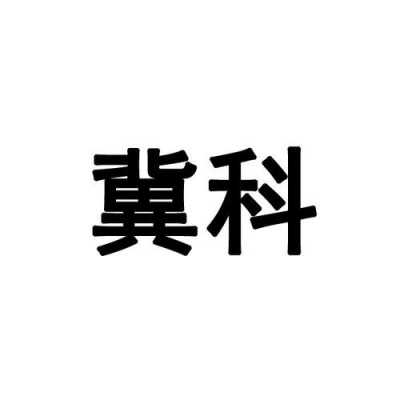 冀酷数码科技（冀科公司）-图3