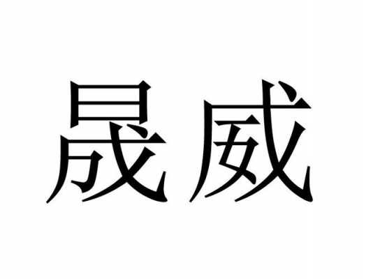 上海晟威数码科技有限公司（上海晟薇贸易有限公司）