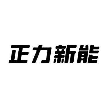 淘宝正能数码科技有限公司（正能技术有限公司）-图1