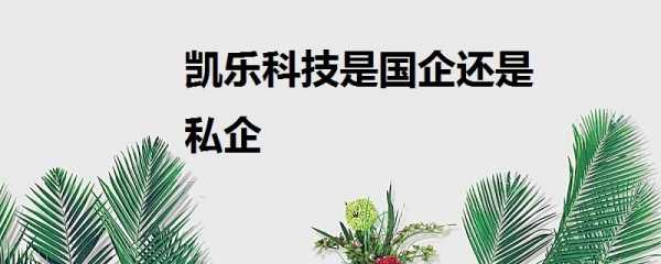 科磊数码科技是国企吗还是私企（科磊官网）