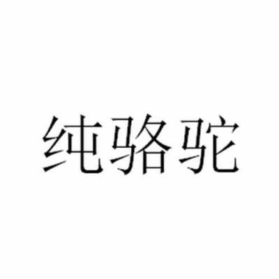 骆驼数码科技（骆驼数字科技）-图3