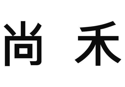 尚禾数码科技怎么样（尚禾集团是上市公司吗）-图3