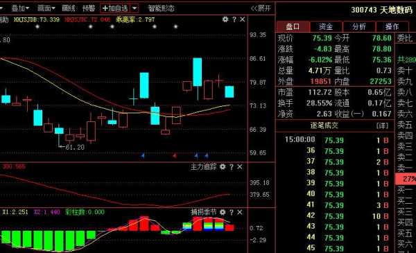 伟信数码科技股票行情（伟信公司）-图3