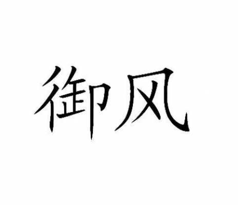 御风数码科技（御风集团控股有限公司）