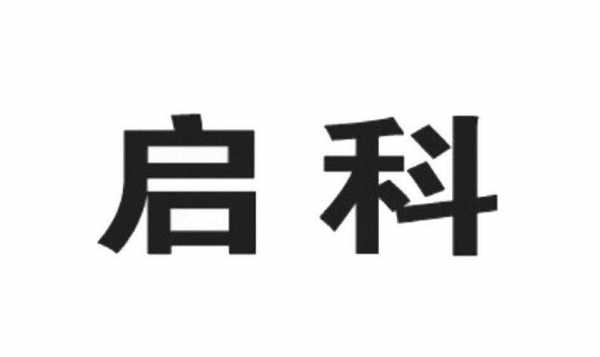 启科数码科技（启科数码科技有限公司）-图1