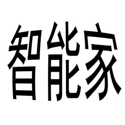 智家数码科技公司简介（智家数码科技公司简介资料）