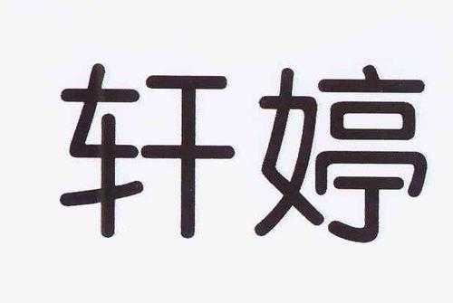 轩婷数码科技（轩婷名字怎么样）-图1