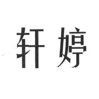 轩婷数码科技（轩婷名字怎么样）-图2