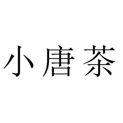 小唐数码科技无锁翻车（小唐电子科技有限公司）-图3