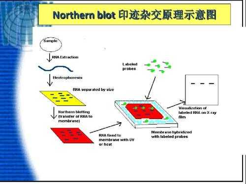 印迹数码科技有限公司（印迹新品）-图3