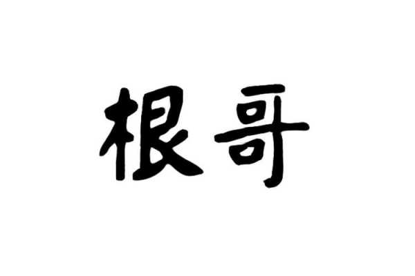 根哥数码科技（根哥视频）-图1