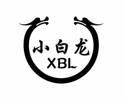 小白龙数码科技（小白龙股份有限公司）-图3