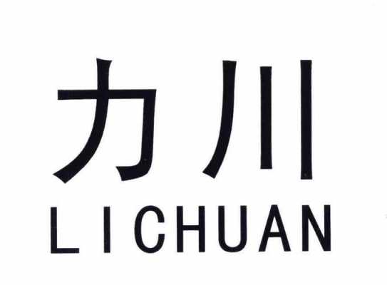 力川数码科技股份有限公司（力川集团）-图1