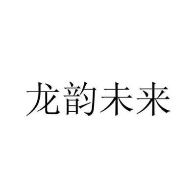 深圳龙韵数码科技有限公司（龙韵实业有限公司）-图3