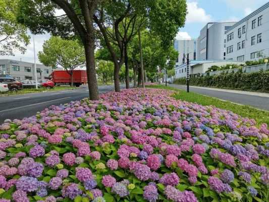 上海花尽数码科技（上海花径）-图2