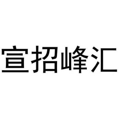 广州臻峰数码科技有限公司（广州臻峰数码科技有限公司招聘）-图2